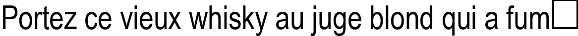 Пример написания шрифтом Arial80n текста на французском