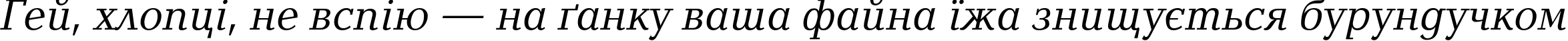 Пример написания шрифтом BalticaC Italic текста на украинском