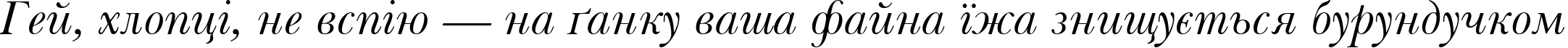 Пример написания шрифтом Baskerville Italic Win95BT текста на украинском