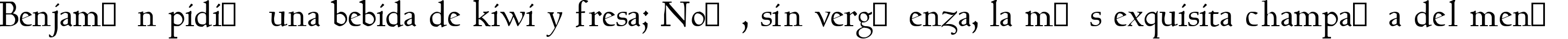 Пример написания шрифтом Bertham текста на испанском