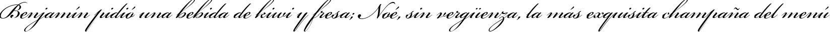 Пример написания шрифтом Bickham Script One текста на испанском