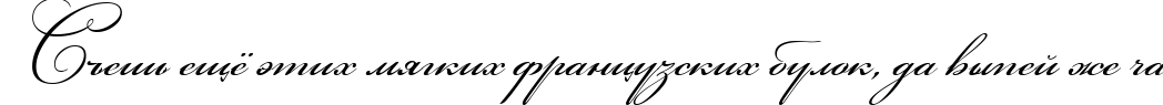 Пример написания шрифтом Bikham Cyr Script текста на русском