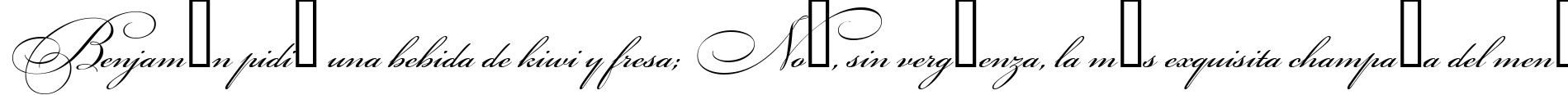 Пример написания шрифтом Bikham Cyr Script текста на испанском