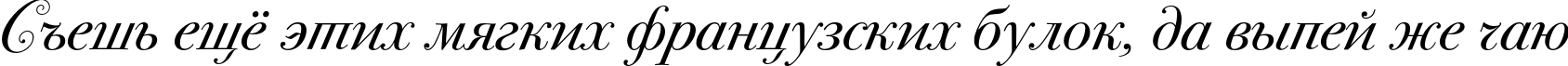 Пример написания шрифтом BodoniSevSwashITC текста на русском