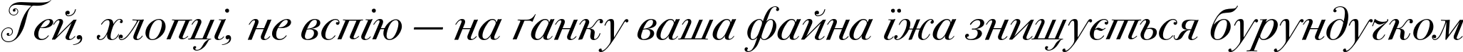Пример написания шрифтом BodoniSevSwashITC текста на украинском