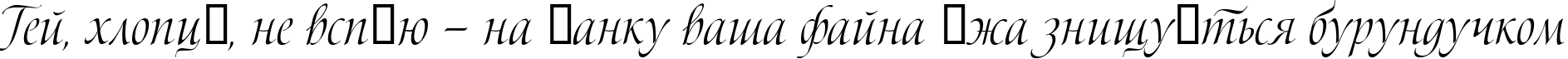 Пример написания шрифтом Bolero script текста на украинском