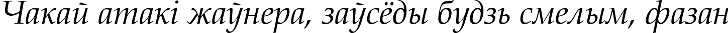 Пример написания шрифтом Book Antiqua Italic текста на белорусском