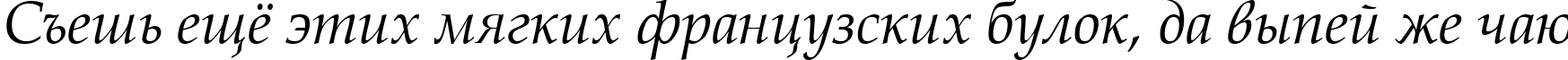 Пример написания шрифтом Book Antiqua Italic текста на русском