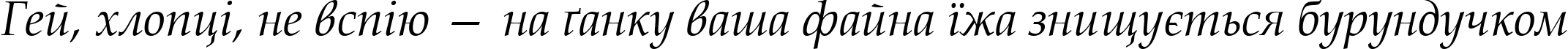 Пример написания шрифтом Book Antiqua Italic текста на украинском