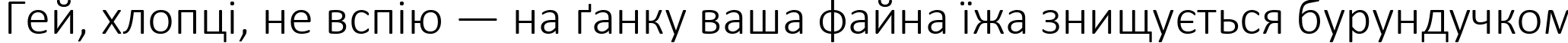 Пример написания шрифтом Calibri Light текста на украинском