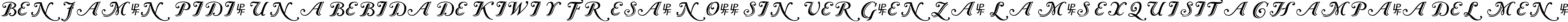 Пример написания шрифтом Caslon Calligraphic Initials текста на испанском