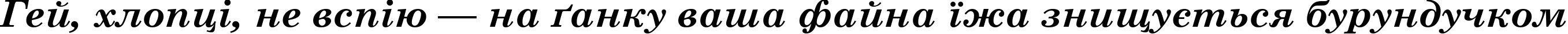 Пример написания шрифтом Century Schoolbook Bold Italic текста на украинском