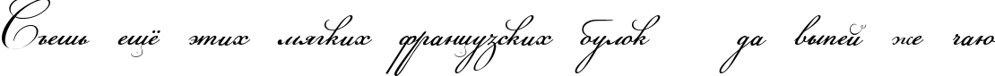 Пример написания шрифтом Champignon script текста на русском
