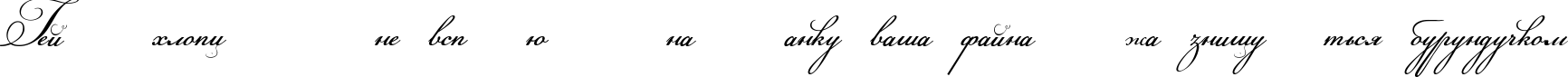 Пример написания шрифтом Champignon script текста на украинском