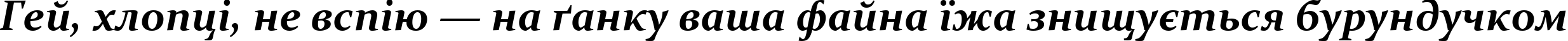 Пример написания шрифтом Constantia Bold Italic текста на украинском