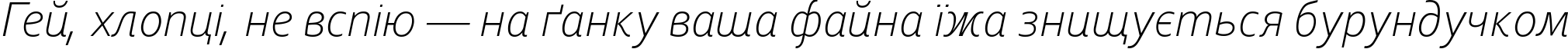 Пример написания шрифтом Corbel Light Italic текста на украинском