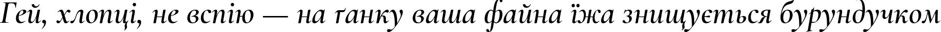 Пример написания шрифтом Cormorant SemiBold Italic текста на украинском