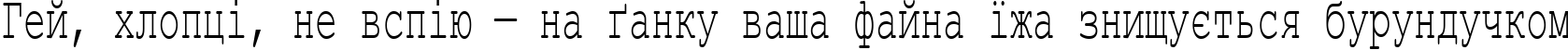 Пример написания шрифтом Courier New Cyr60n текста на украинском