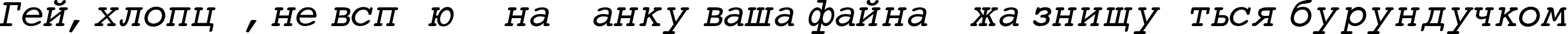 Пример написания шрифтом Courier-Normal-Italic текста на украинском