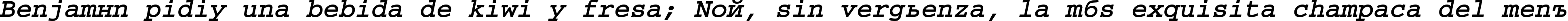 Пример написания шрифтом CourierCTT BoldItalic текста на испанском