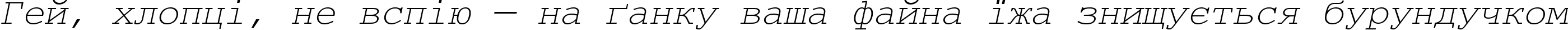 Пример написания шрифтом CourierMCY Oblique текста на украинском