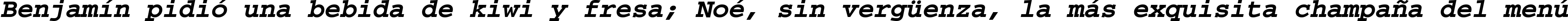 Пример написания шрифтом CourierPS Bold Oblique текста на испанском