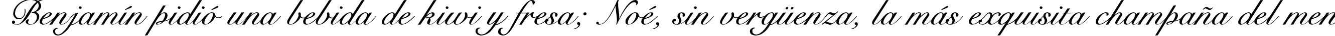 Пример написания шрифтом CygnetRound текста на испанском