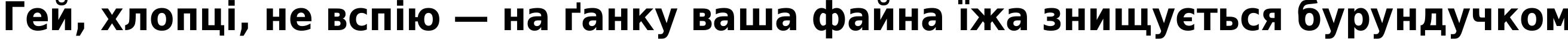 Пример написания шрифтом DejaVu Sans Condensed Bold текста на украинском