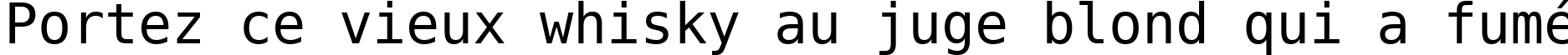 Пример написания шрифтом DejaVu Sans Mono текста на французском