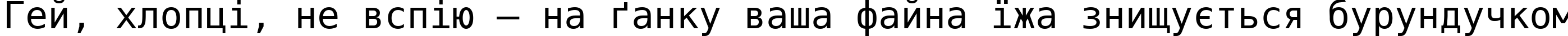 Пример написания шрифтом DejaVu Sans Mono текста на украинском