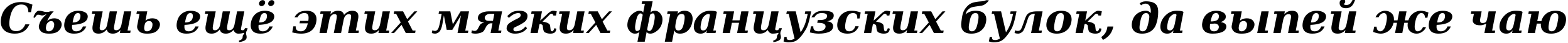 Пример написания шрифтом DejaVu Serif Bold Italic текста на русском Пример написания шрифтом DejaVu Serif Bold Italic текста на русском