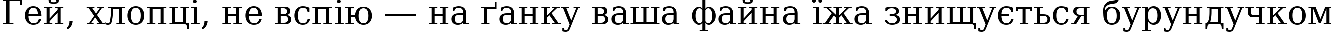 Пример написания шрифтом DejaVu Serif текста на украинском