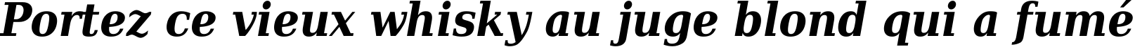 Пример написания шрифтом DejaVu Serif Condensed Bold Italic текста на французском
