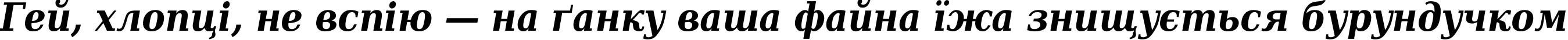 Пример написания шрифтом DejaVu Serif Condensed Bold Italic текста на украинском