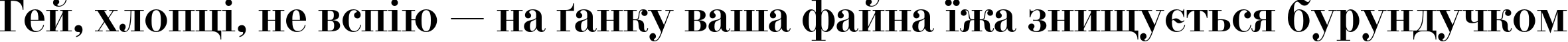 Пример написания шрифтом DidonaC текста на украинском
