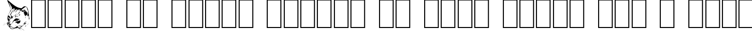 Пример написания шрифтом Dingbat Cats 2 текста на французском