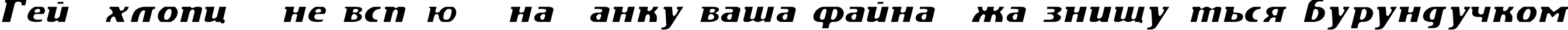 Пример написания шрифтом DS Motion Demo Italic текста на украинском