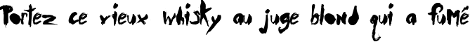 Пример написания шрифтом DuerTWOo текста на французском