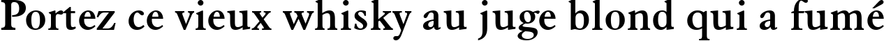Пример написания шрифтом Elegant Garamond Bold BT текста на французском