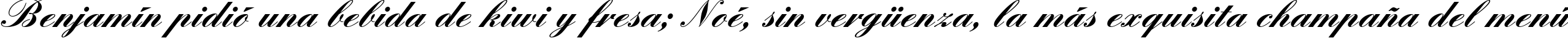Пример написания шрифтом EnglischeSchT Bold текста на испанском