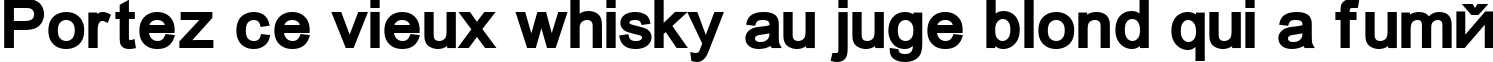 Пример написания шрифтом ER Univers Mac Bold текста на французском