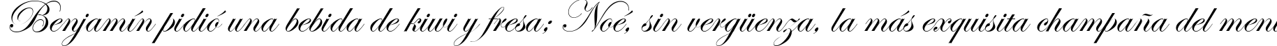 Пример написания шрифтом Esenin script Two текста на испанском