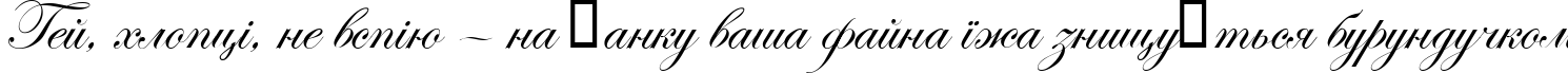 Пример написания шрифтом Esenin script Two текста на украинском
