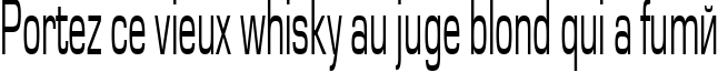Пример написания шрифтом Europe45n текста на французском