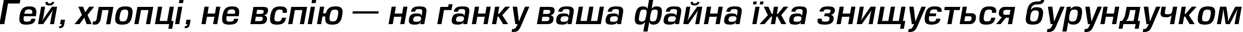 Пример написания шрифтом EuropeDemi Italic текста на украинском