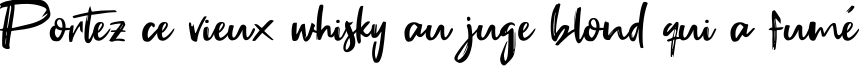Пример написания шрифтом Fake Serif текста на французском