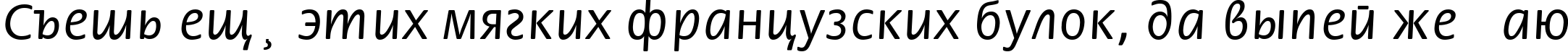 Пример написания шрифтом Flori текста на русском