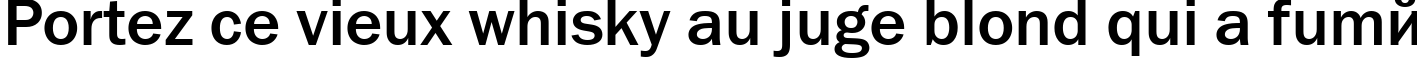 Пример написания шрифтом font166 текста на французском