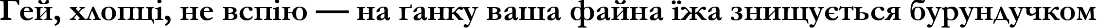 Пример написания шрифтом font253 текста на украинском