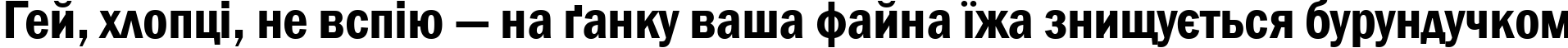 Пример написания шрифтом Franklin Gothic Demi Cond текста на украинском
